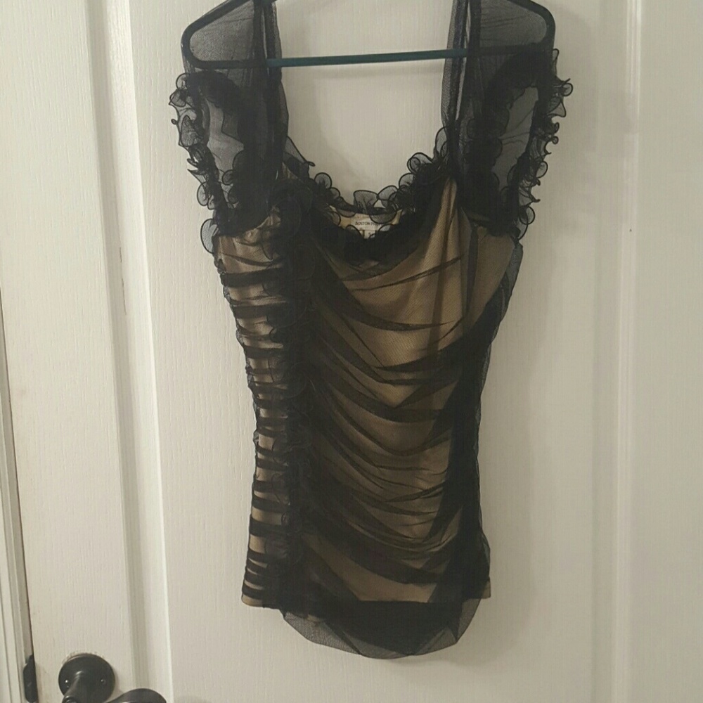 Boston Proper Sheer Blouse